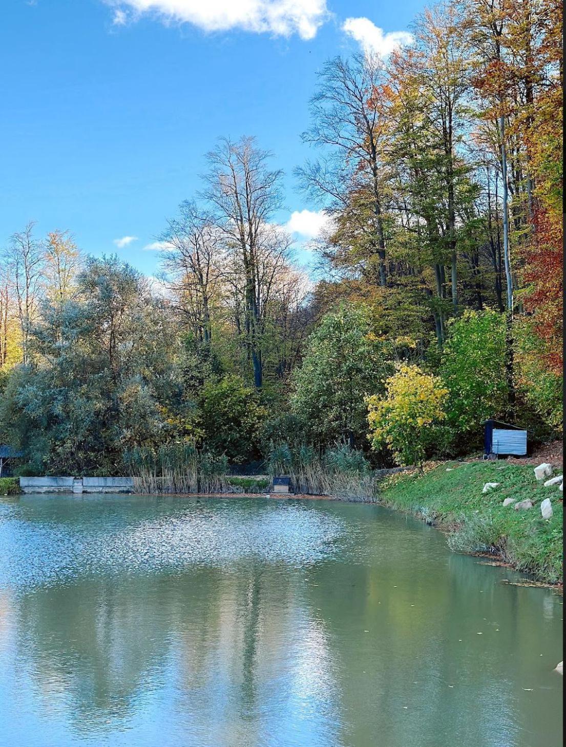 Orlyne Gnizdo Hotel Chernivtsi Bagian luar foto